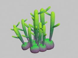 Coral Jade Succulent 3d model preview