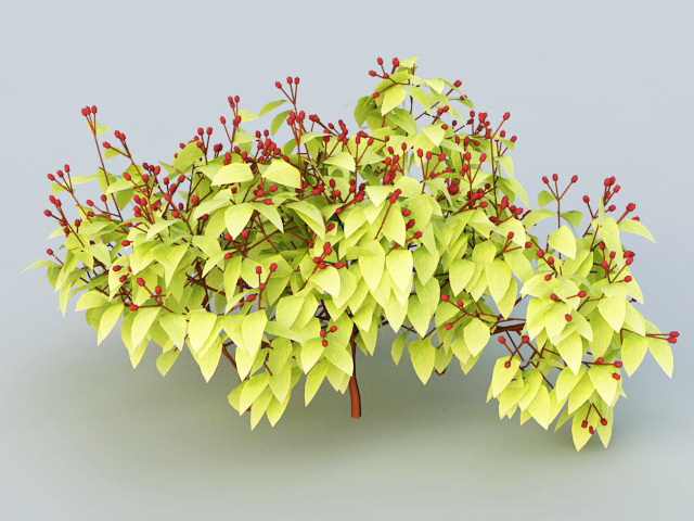 Red Berry Bushes 3d rendering