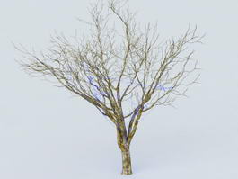 Tree Wrap Lights 3d preview