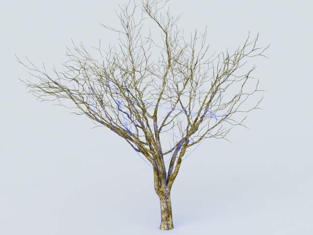 Tree Wrap Lights 3d rendering