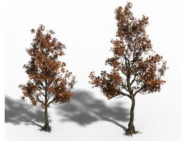 Small Maple Trees 3d model preview