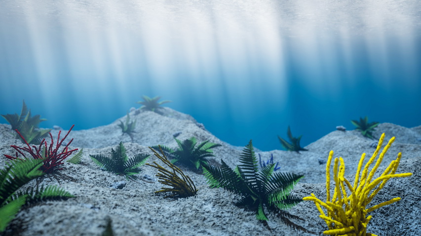 Underwater Scene 3d rendering