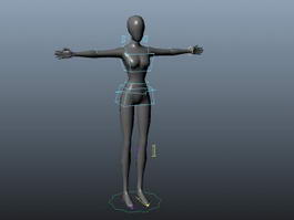 Female Body Rig 3d model preview