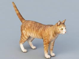 Orange Cat 3d model preview
