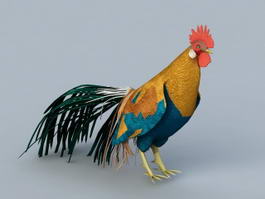 Chicken Rooster 3d model preview