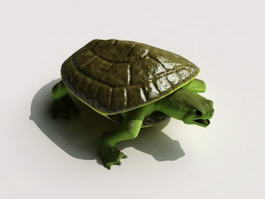 Green Sea Turtle 3d model preview