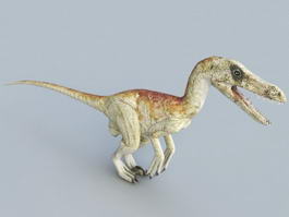 Velociraptor Raptor Dinosaur 3d model preview