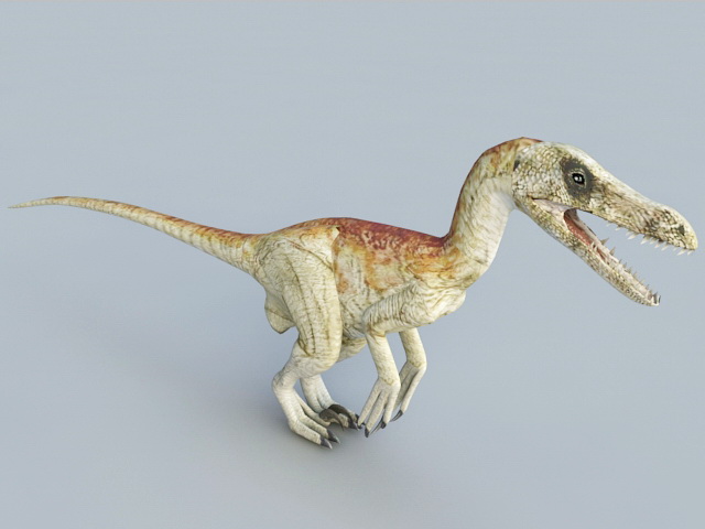 Velociraptor Raptor Dinosaur 3d rendering