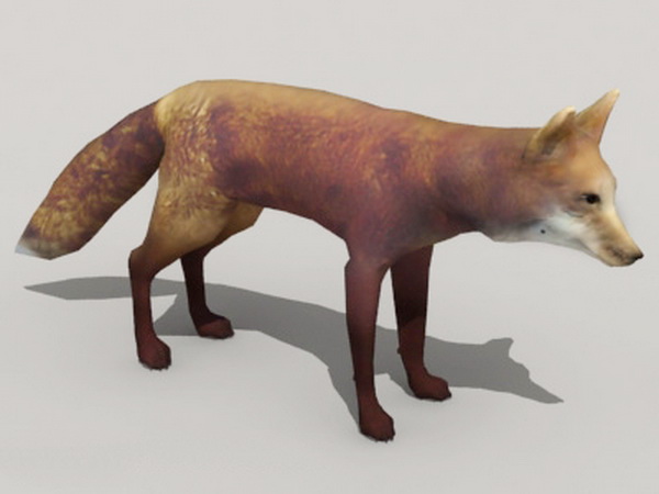 Red Fox Animal 3d rendering