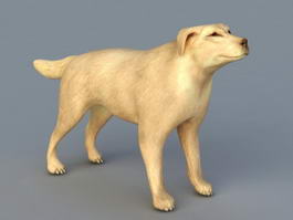 Great Dane Dog 3d model preview