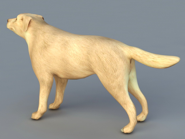 Great Dane Dog 3d rendering
