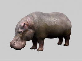 Fat Hippopotamus 3d model preview