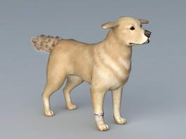 Guide Dog 3d model preview