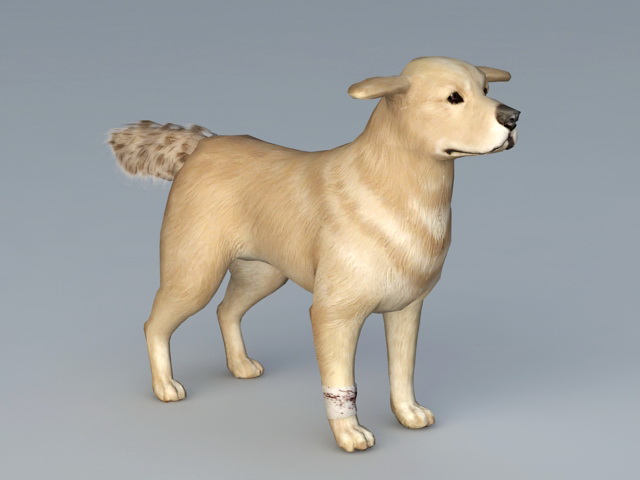 Guide Dog 3d rendering
