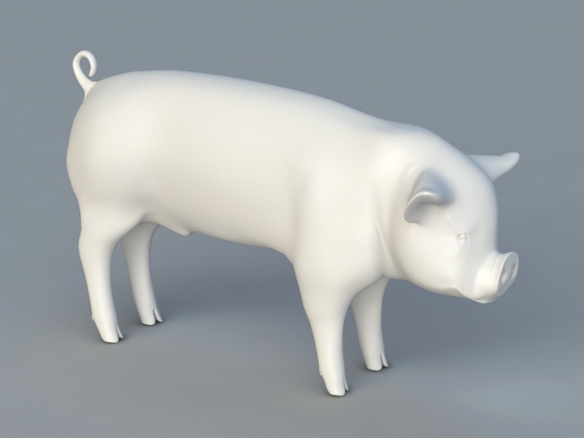 Domestic Pig 3d rendering