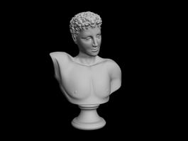 Head Bust of David 3d model preview