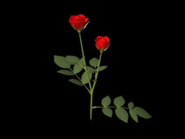Red Rose Branch 3d model preview