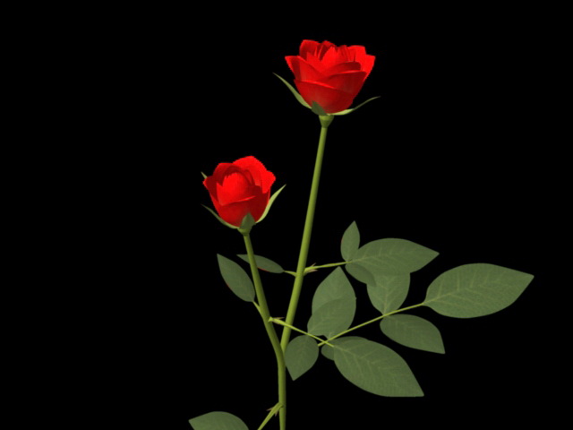 Red Rose Branch 3d rendering