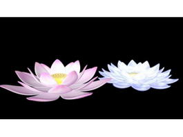Water Lily Flowers 3d preview