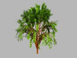 Small Willow Tree 3d model preview