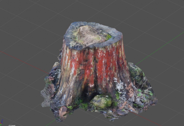 Old Tree Stump 3d rendering