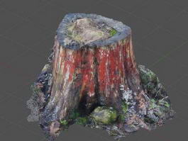 Old Tree Stump 3d model preview