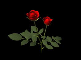 Red Rose Flowers 3d preview