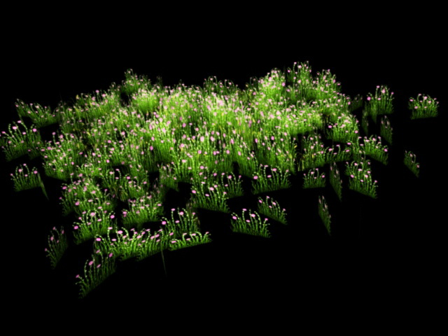 Grass with Flowers 3d rendering