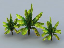 Banana Trees 3d preview