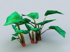 Elephant Ear Plants 3d model preview