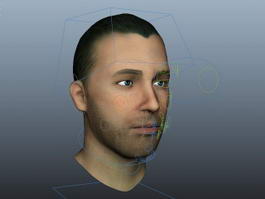Man Head Rig 3d model preview