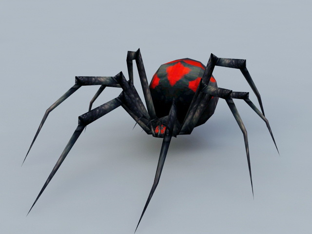Night Black Widow Spider 3d model preview. 