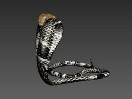 King Cobra Snake 3d model preview