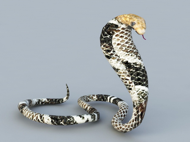 Cobra Snake 3d model Object files free download - modeling 44849 on CadNav