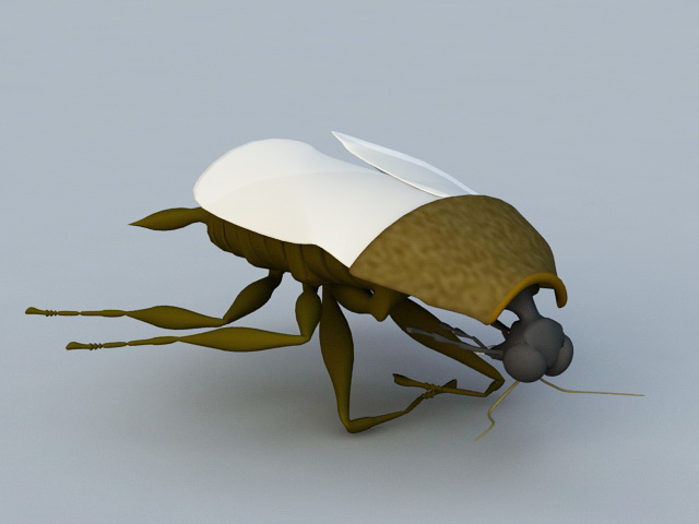 Giant Cockroach 3d rendering