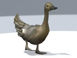 Duck Walking 3d model preview