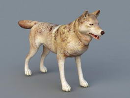 Red Wolf 3d model preview