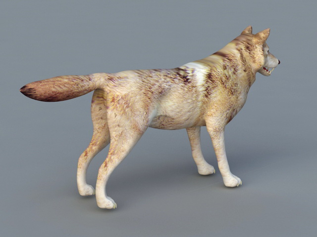 Red Wolf 3d rendering