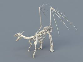 Dinosaur Skeleton 3d model preview