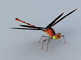 Red Dragonfly 3d preview