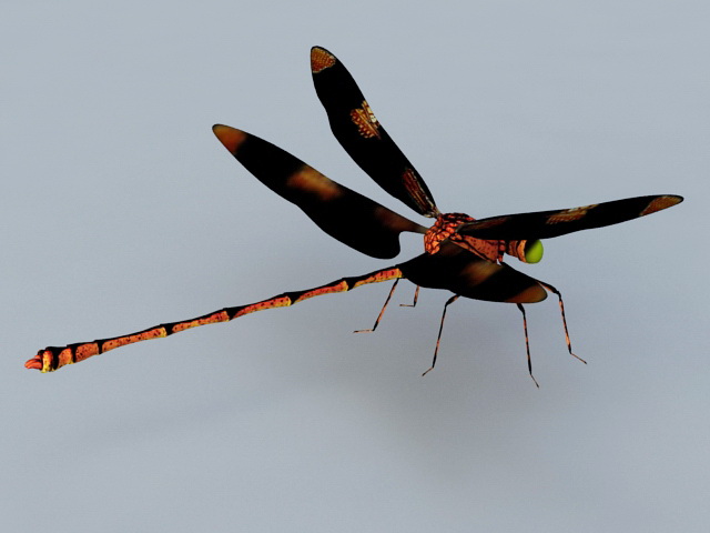 Red Dragonfly 3d rendering