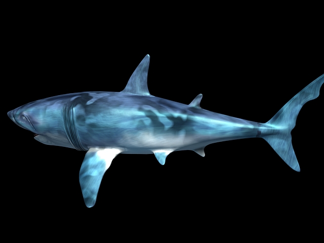 Scary Shark 3d rendering