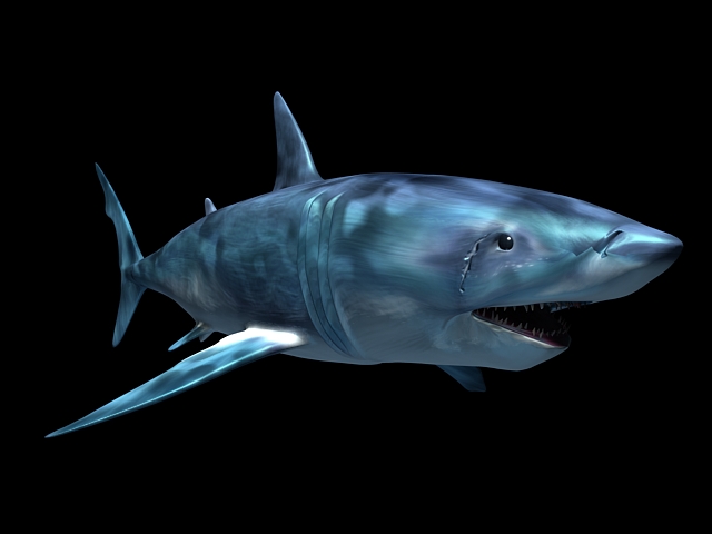 Scary Shark 3d rendering