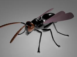 Fly Insect Rig 3d model preview