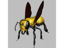 Yellow Fly 3d preview
