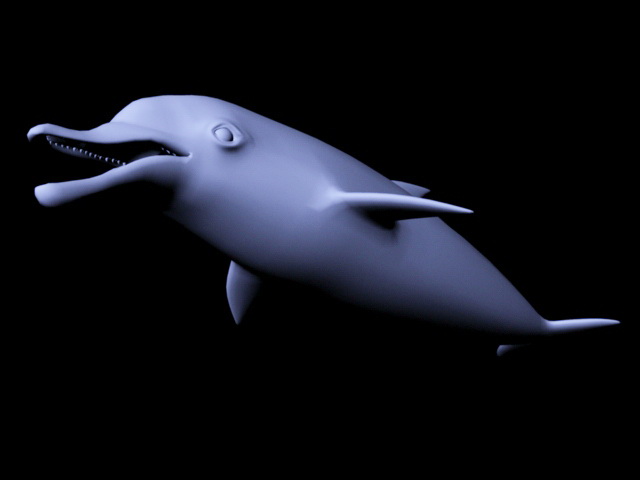dolphins 3d rendition