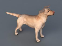 Small Tan Dog 3d model preview