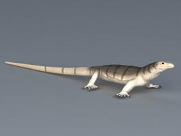 Monitor Lizard 3d preview
