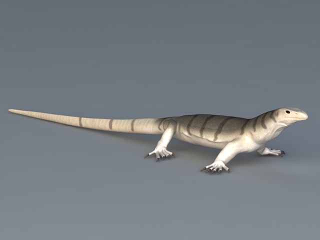Monitor Lizard 3d rendering