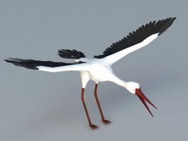 Crane Bird 3d model preview